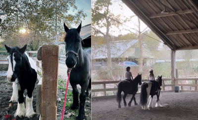 Horseback Riding & Afternoon at the Barn